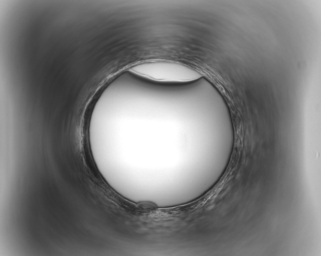 X0000093610290200710151021