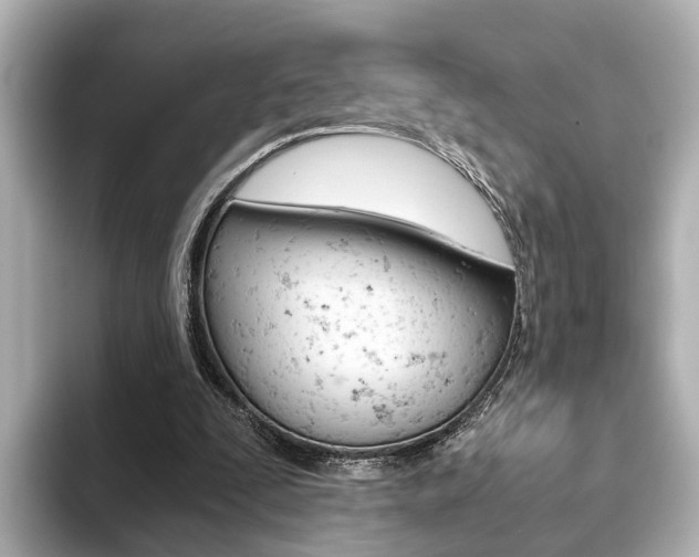 X0000093610295200710151021