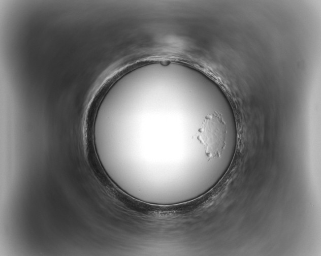 X0000093610296200710151021