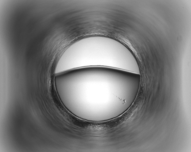 X0000093610299200710151021