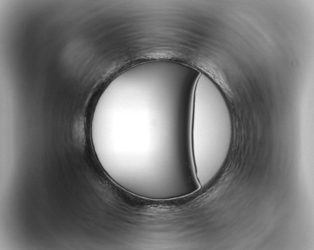 X0000093610300200710151021