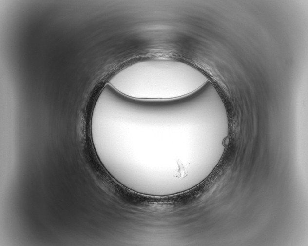 X0000093610303200710151021