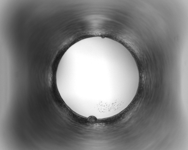 X0000093610304200710151021