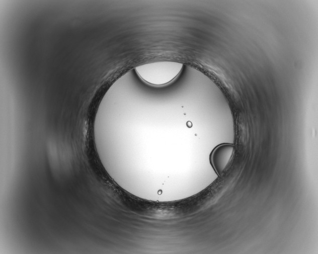 X0000093610308200710151021