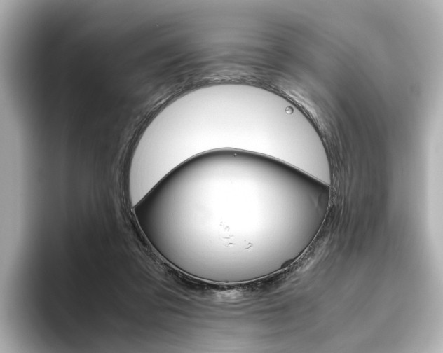 X0000093610309200710151021