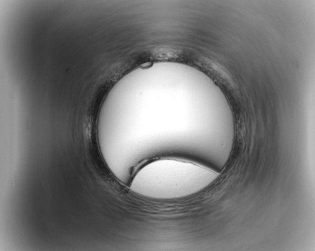 X0000093610315200710151021