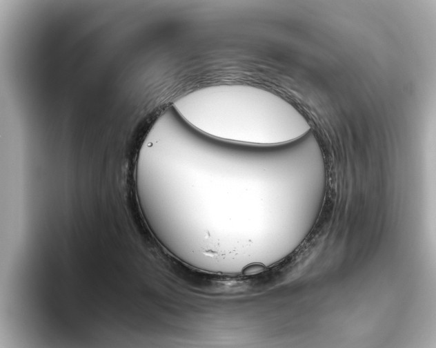 X0000093610319200710151021