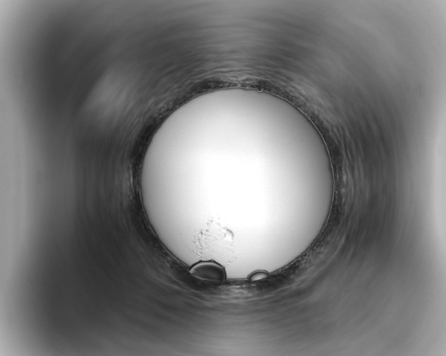 X0000093610320200710151021