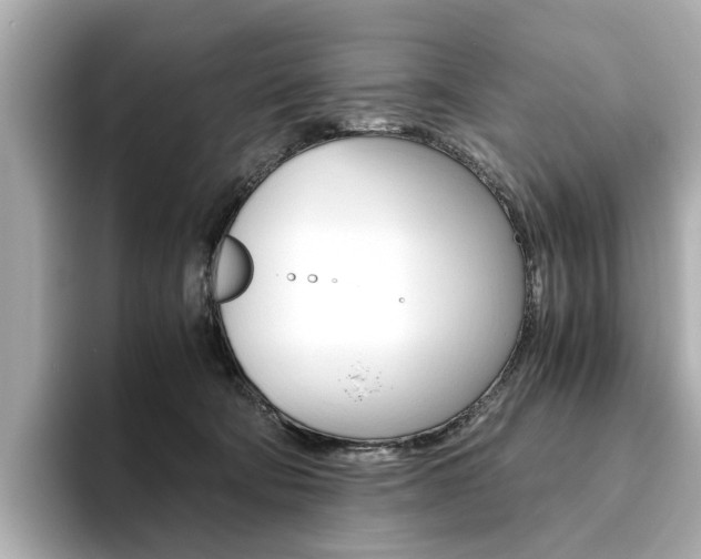 X0000093610322200710151021