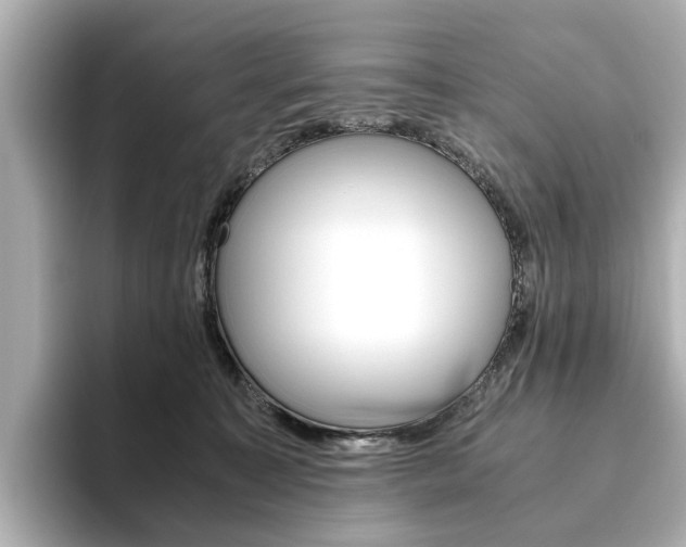 X0000093610323200710151021
