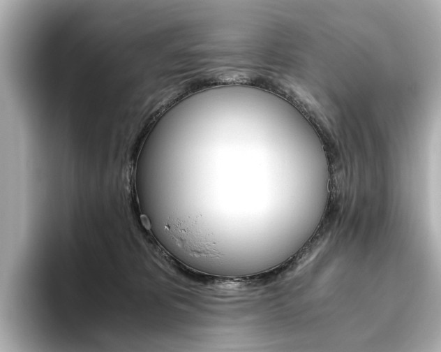 X0000093610325200710151021
