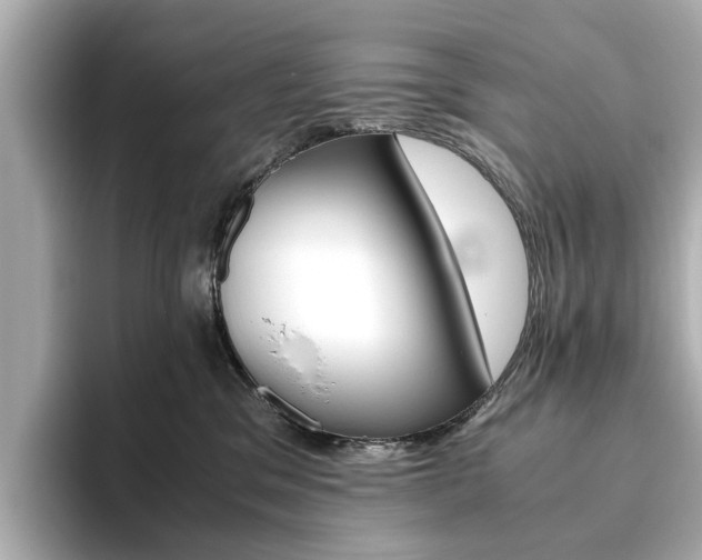 X0000093610329200710151021