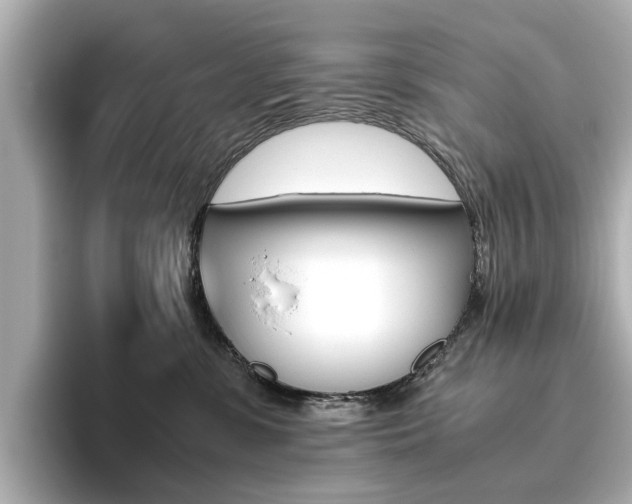 X0000093610331200710151021