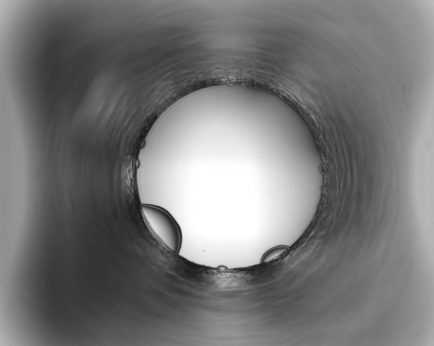 X0000093610336200710151020
