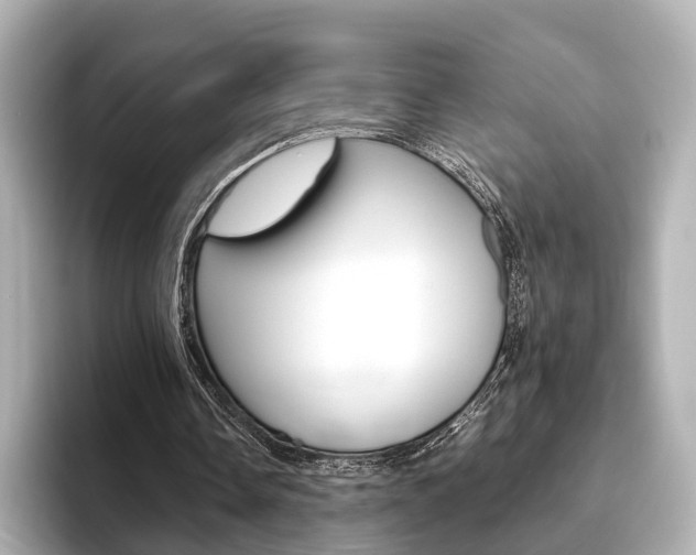 X0000093610338200710151020