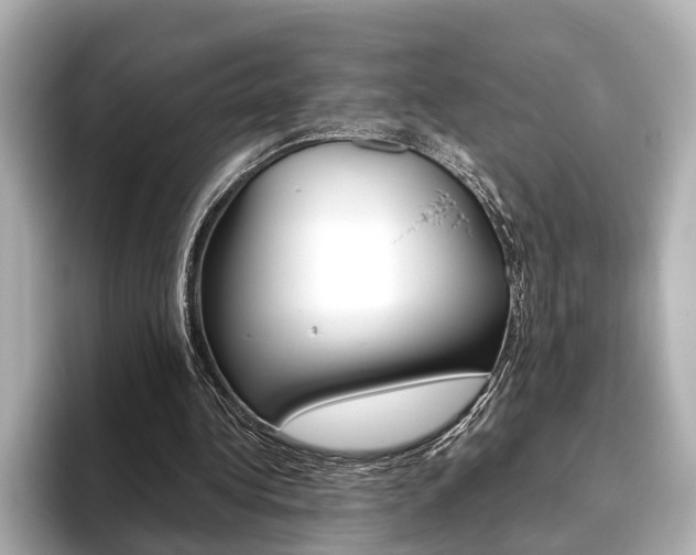 X0000093610340200710151020