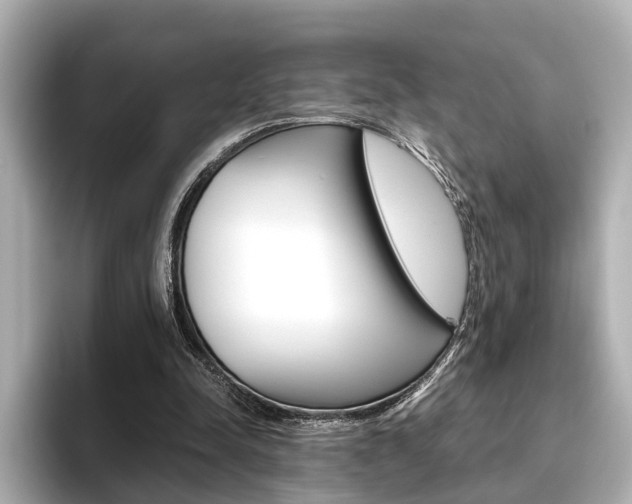 X0000093610342200710151020