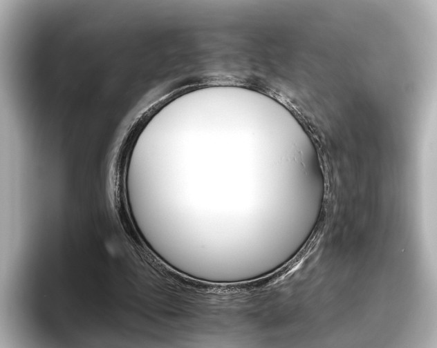 X0000093610343200710151020