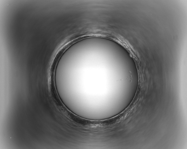 X0000093610344200710151020