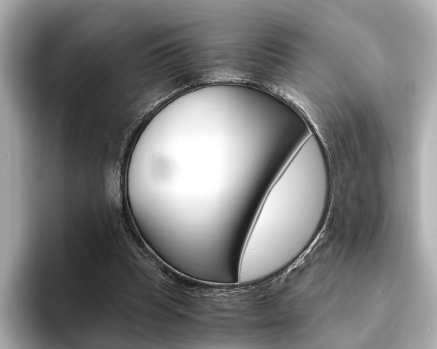 X0000093610345200710151020