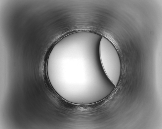 X0000093610346200710151020