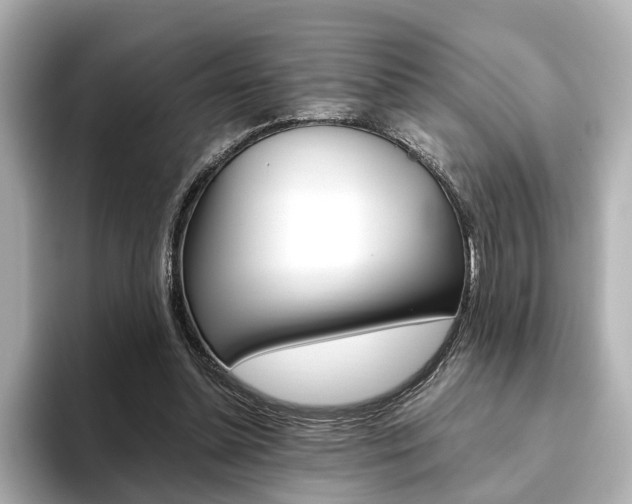 X0000093610348200710151020