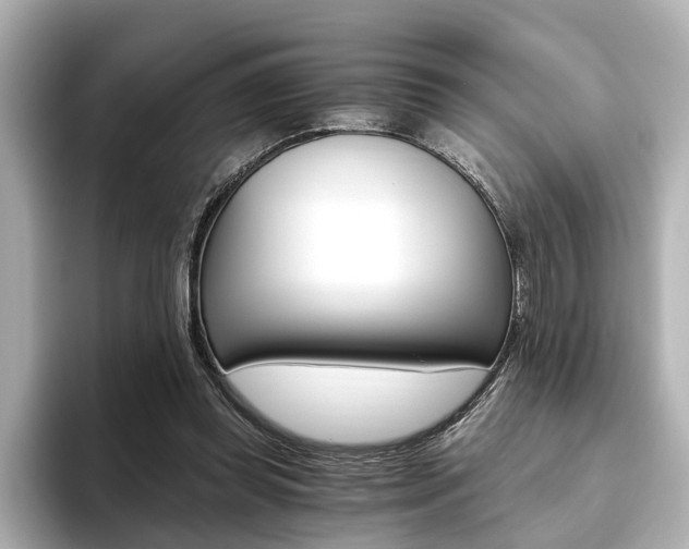 X0000093610349200710151020