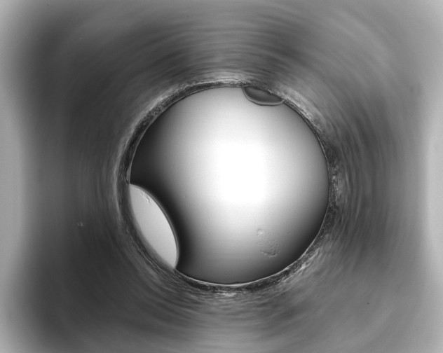 X0000093610350200710151020