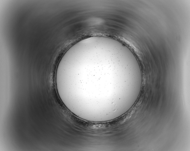X0000093610353200710151020