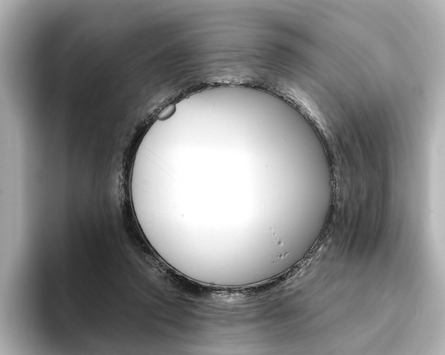 X0000093610354200710151020