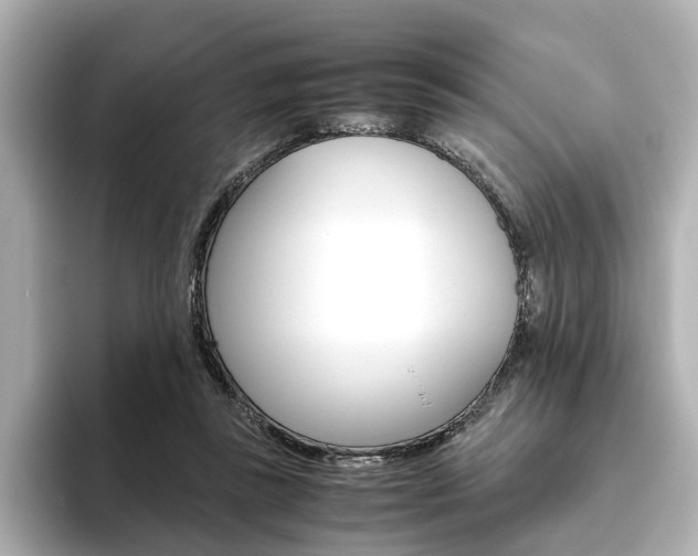 X0000093610355200710151020