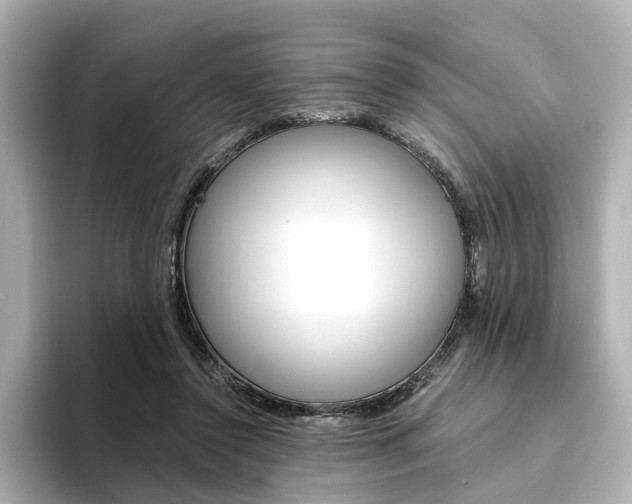 X0000093610356200710151020