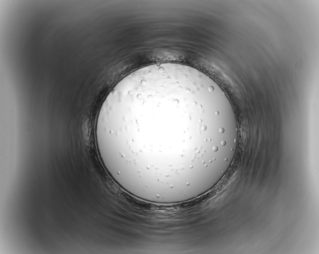 X0000093610359200710151020