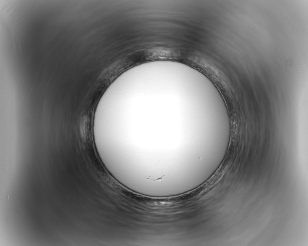 X0000093610361200710151020