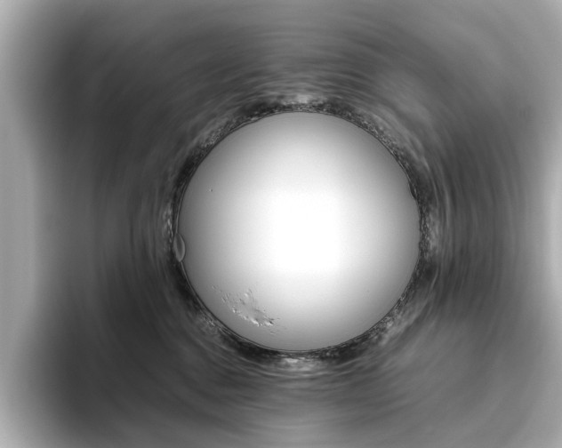 X0000093610376200710151020