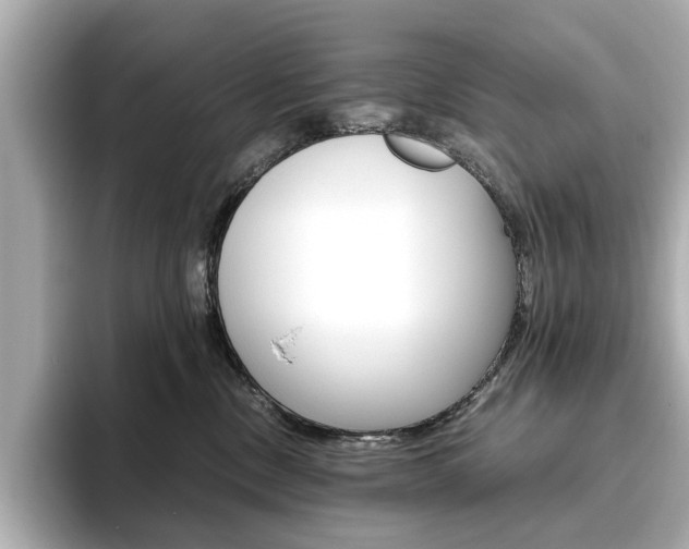 X0000093610378200710151020
