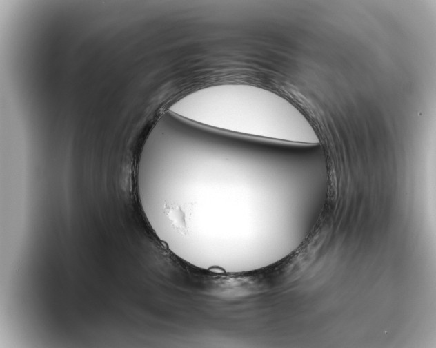 X0000093610379200710151020