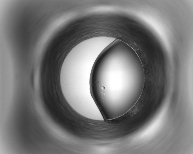 X0000093610382200710151020