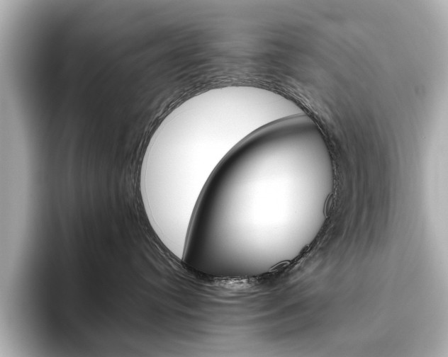 X0000093610384200710151020
