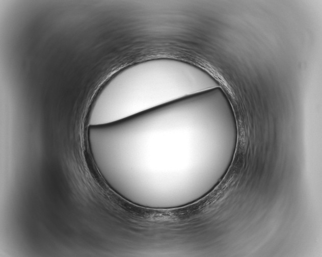X0000093610386200710151020