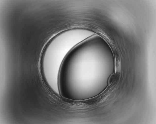 X0000093610387200710151020
