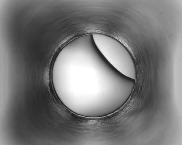 X0000093610390200710151020