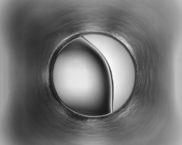 X0000093610391200710151020
