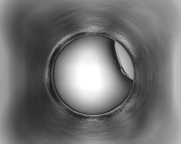 X0000093610392200710151020