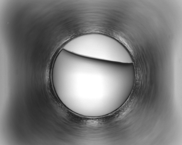 X0000093610394200710151020