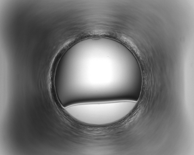 X0000093610395200710151020