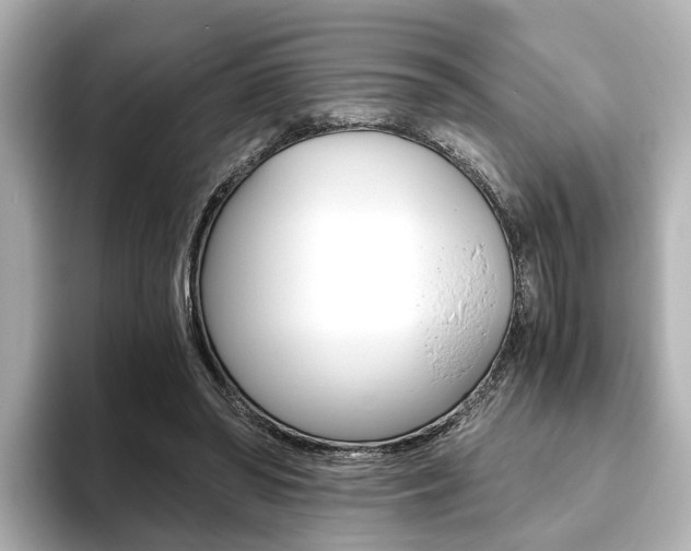 X0000093610398200710151020