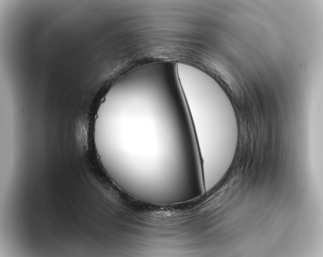 X0000093610404200710151020