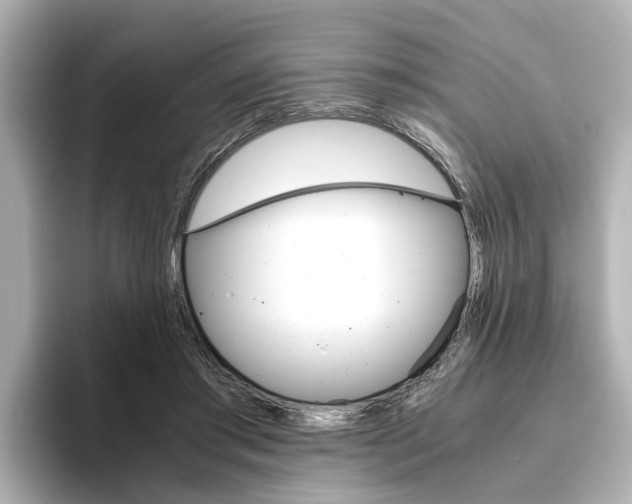 X0000093610405200710151020