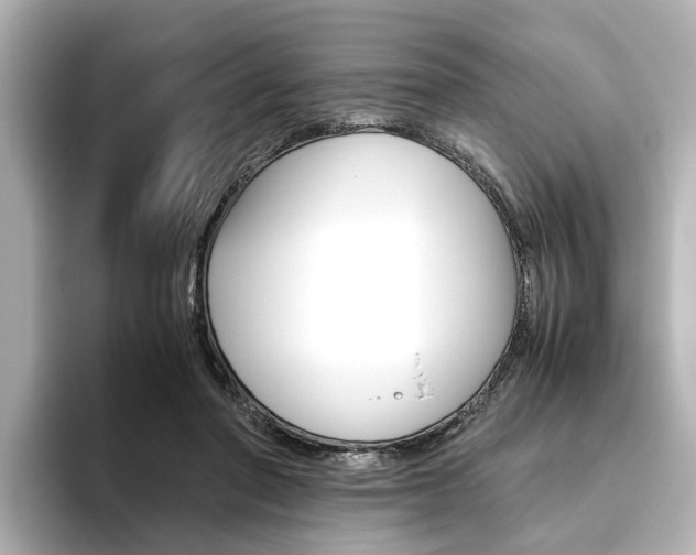 X0000093610406200710151020